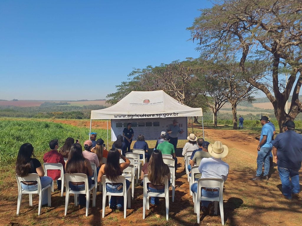 Dia de Campo