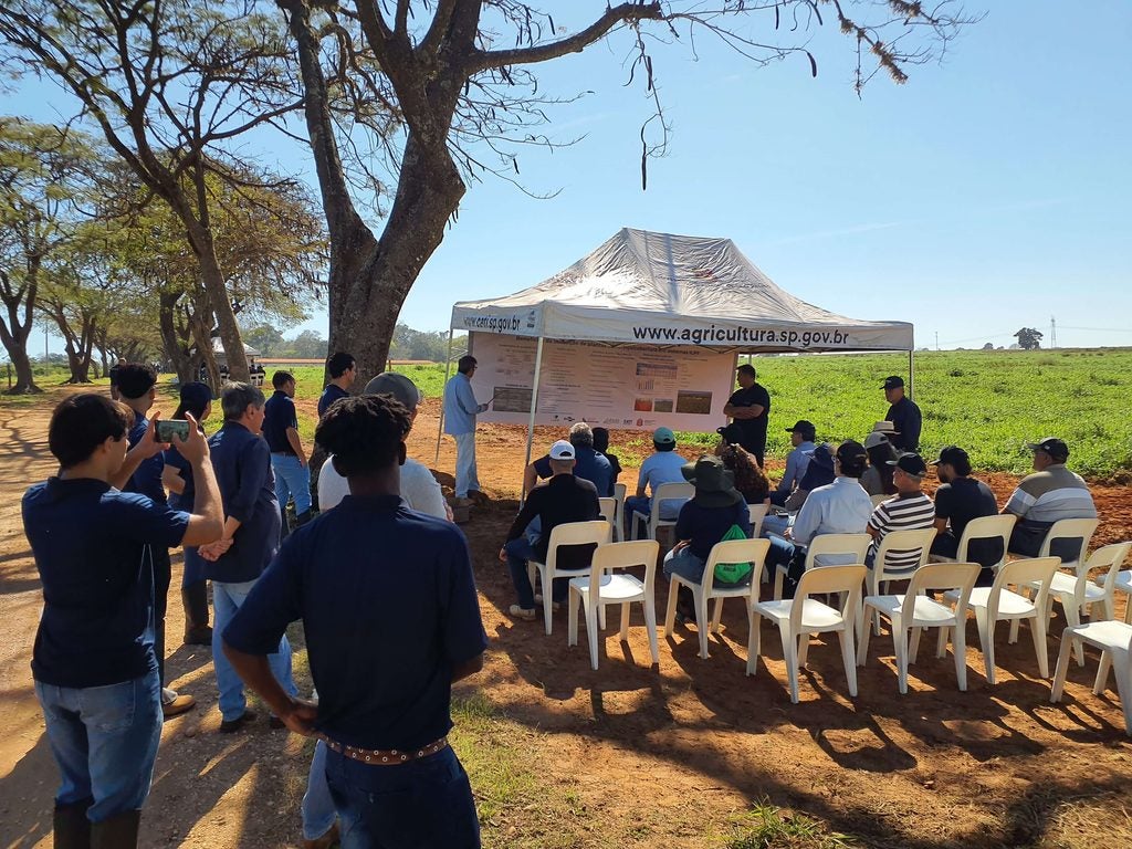 Dia de Campo
